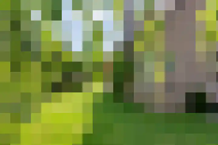 Huizekamplaan 21 Beesd thumbnail 56