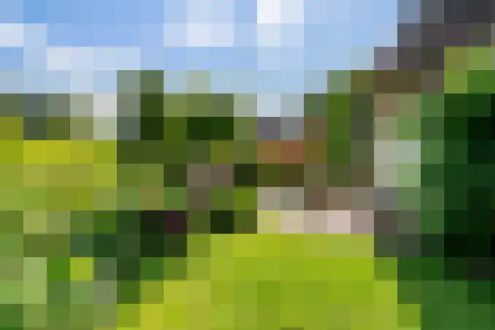 Huizekamplaan 21 Beesd thumbnail 57