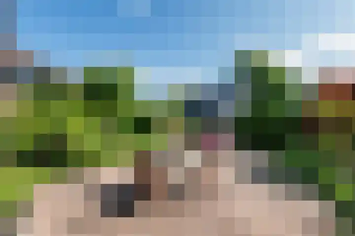 Huizekamplaan 21 Beesd thumbnail 58