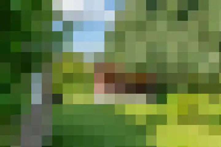 Huizekamplaan 21 Beesd thumbnail 60