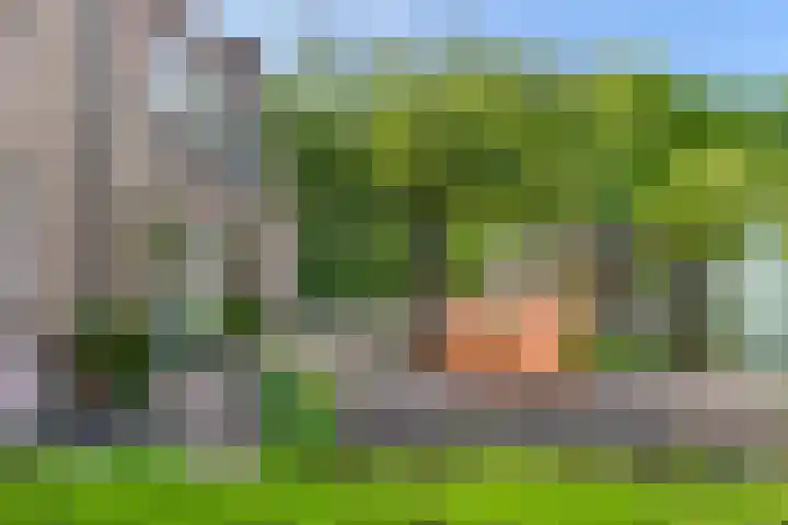 Huizekamplaan 21 Beesd thumbnail 61