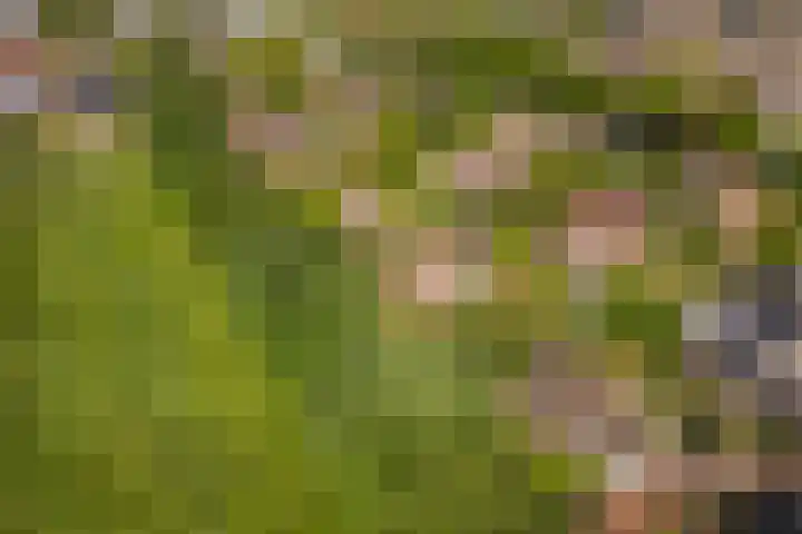Huizekamplaan 21 Beesd thumbnail 63