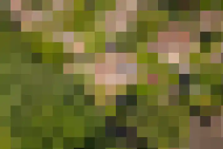 Huizekamplaan 21 Beesd thumbnail 64