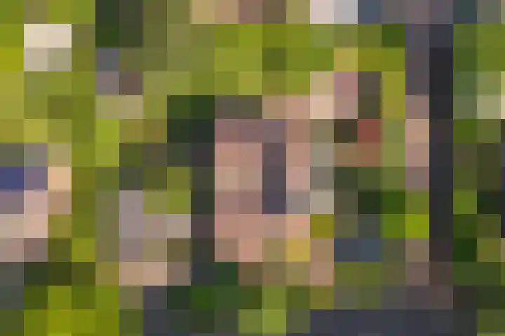 Huizekamplaan 21 Beesd thumbnail 65