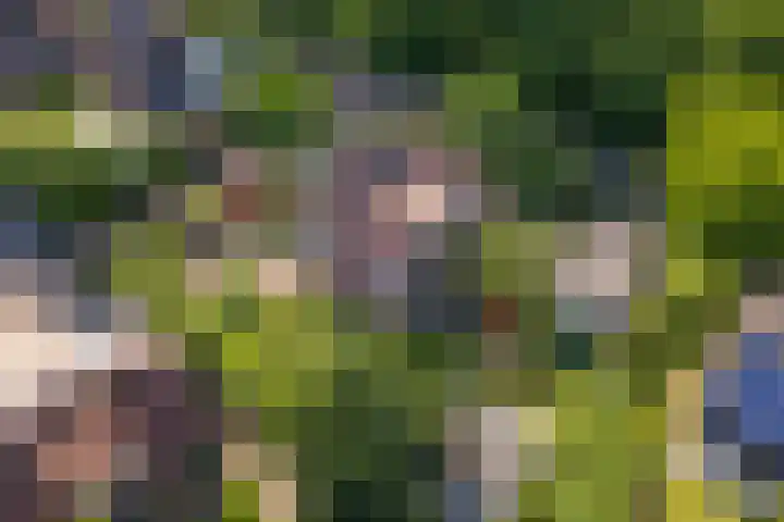 Huizekamplaan 21 Beesd thumbnail 67