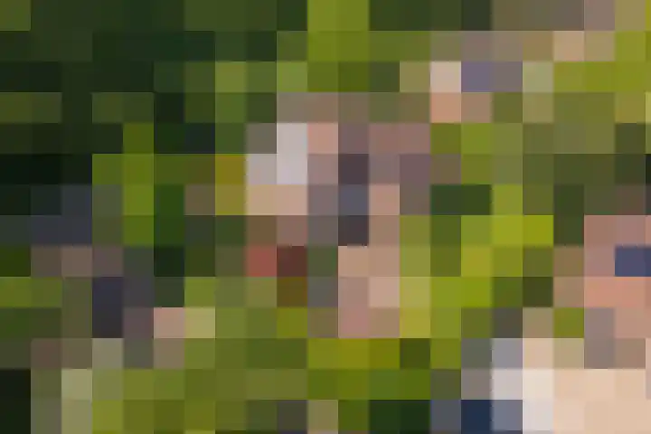 Huizekamplaan 21 Beesd thumbnail 68