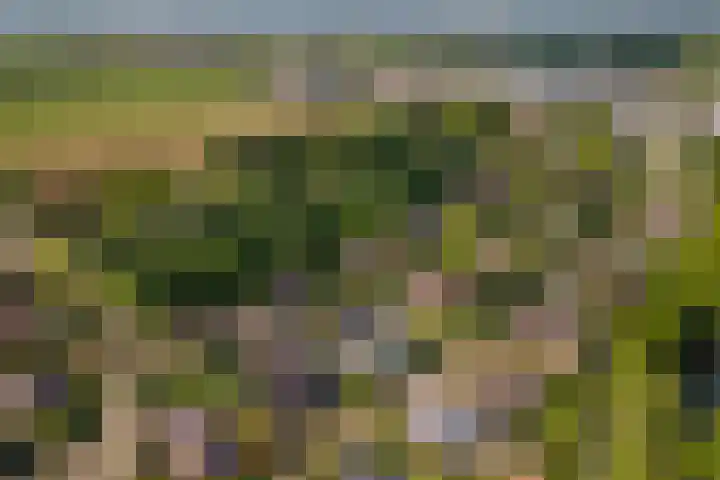 Huizekamplaan 21 Beesd thumbnail 69