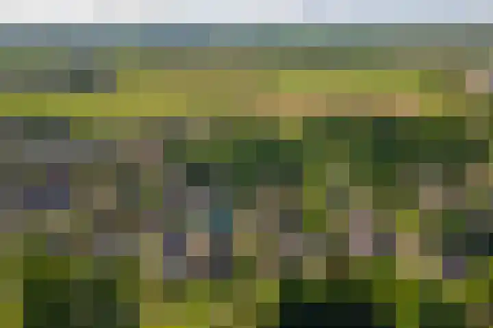Huizekamplaan 21 Beesd thumbnail 70
