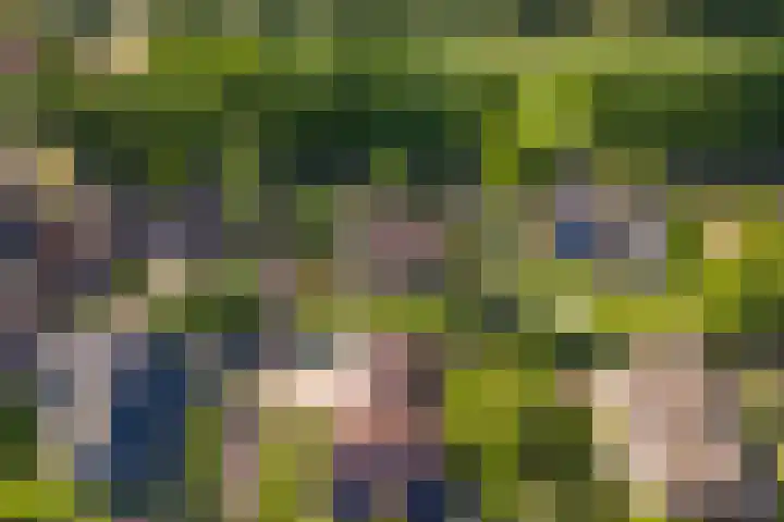 Huizekamplaan 21 Beesd thumbnail 71