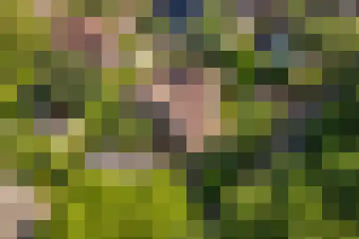 Huizekamplaan 21 Beesd thumbnail 72