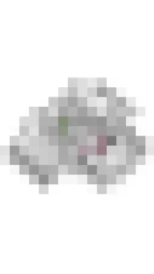Huizekamplaan 21 Beesd thumbnail 76