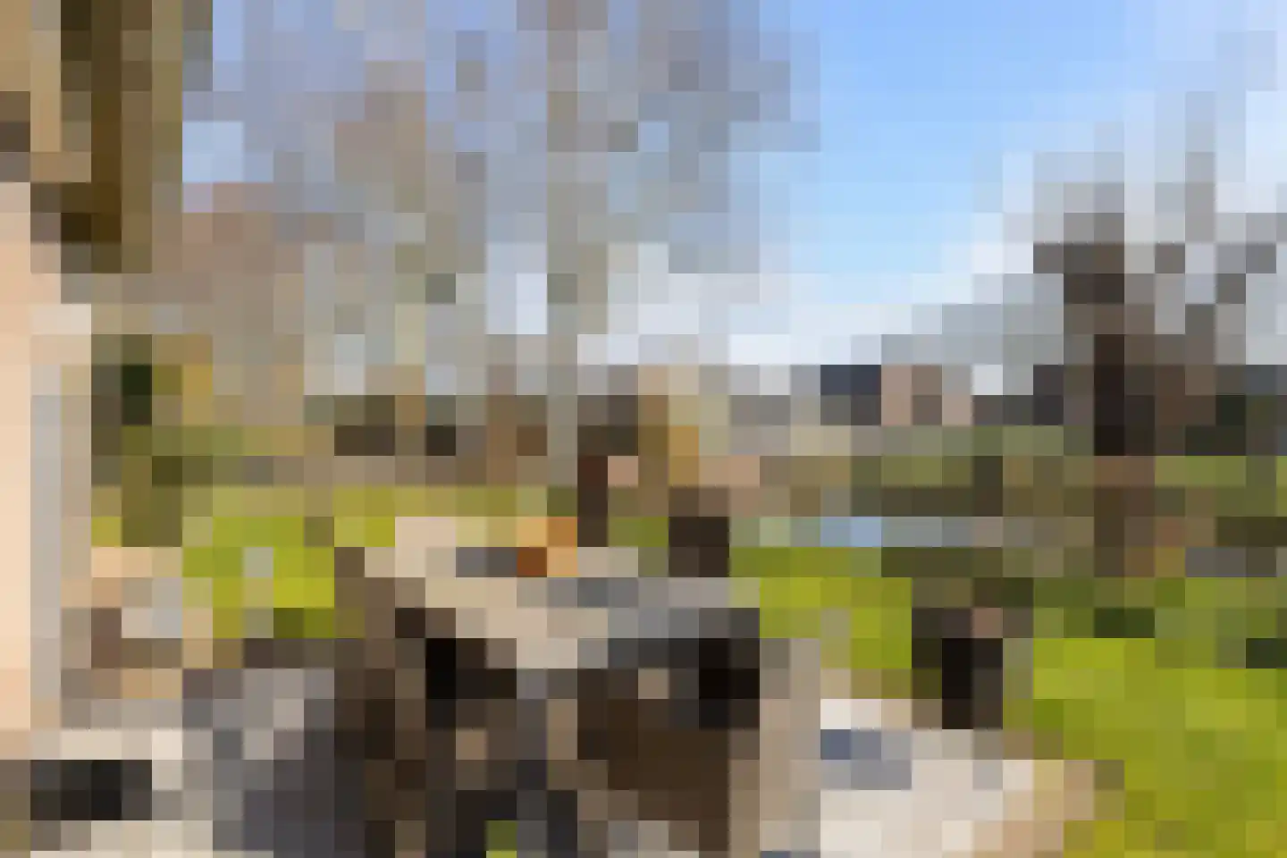 Huizekamplaan 28 a Beesd thumbnail 16