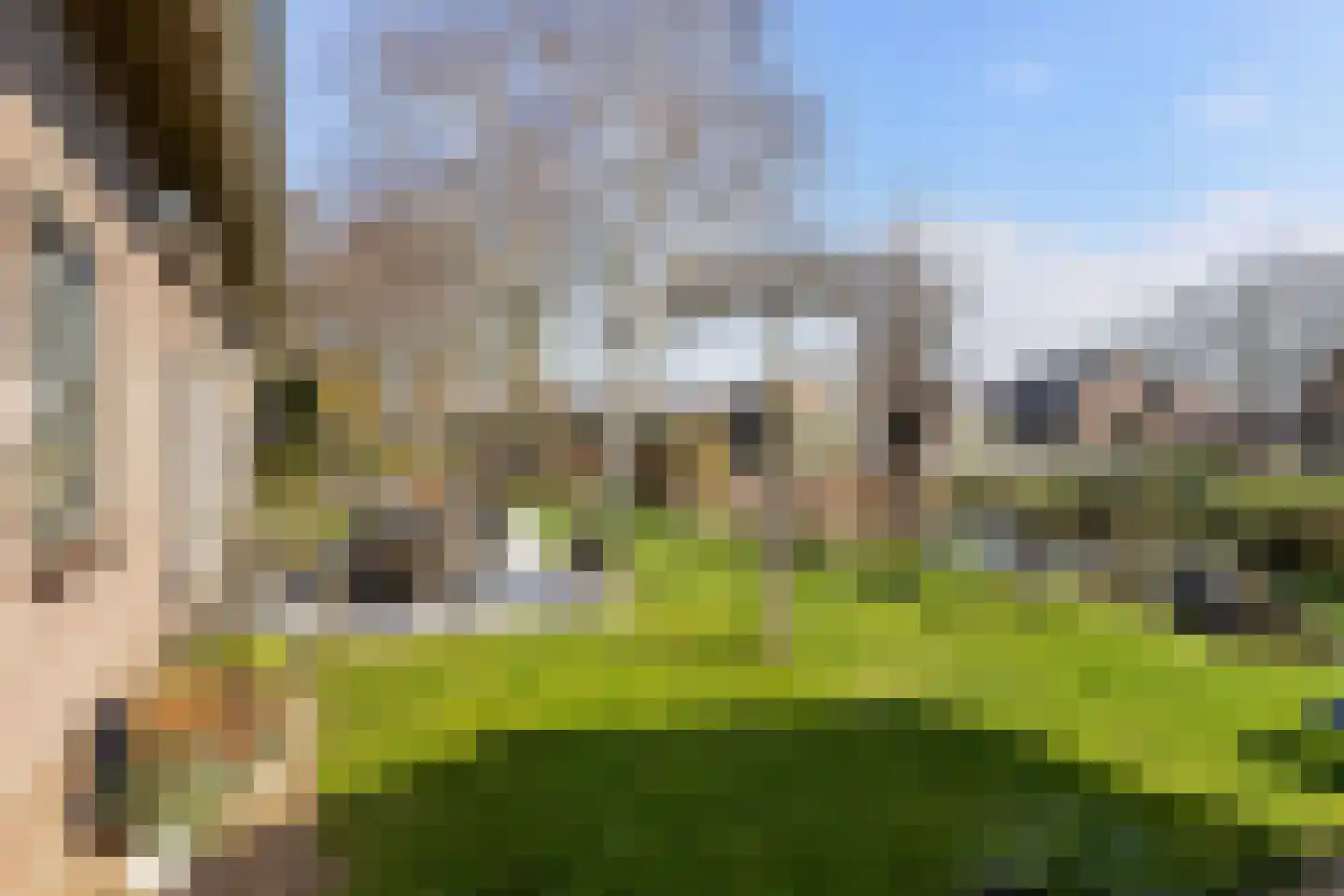 Huizekamplaan 28 a Beesd thumbnail 17
