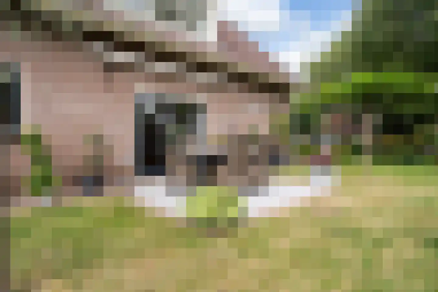 Huizekamplaan 28 a Beesd thumbnail 18