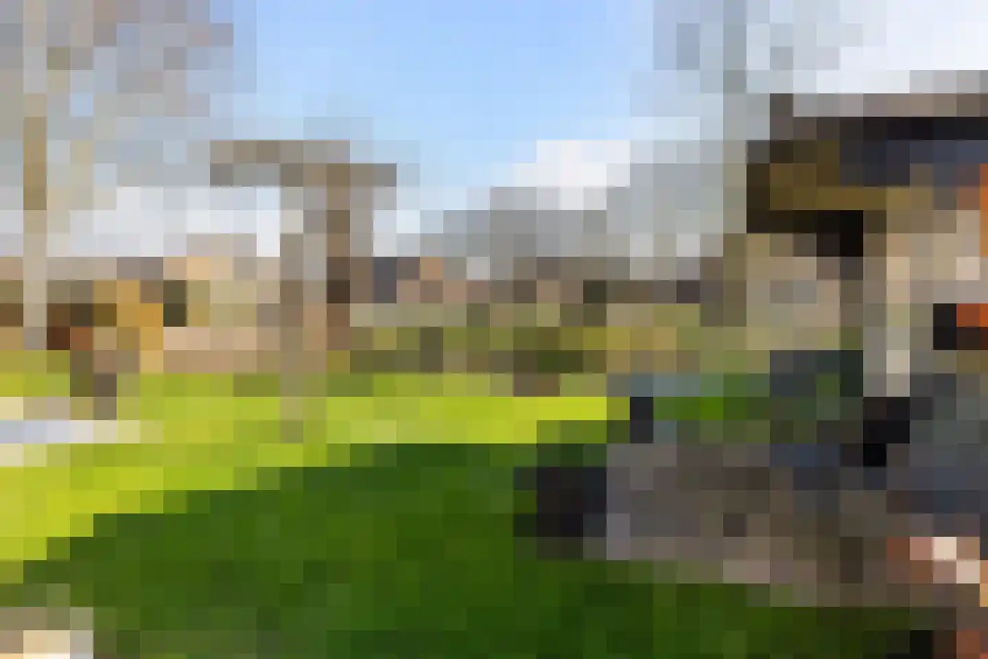 Huizekamplaan 28 a Beesd thumbnail 30