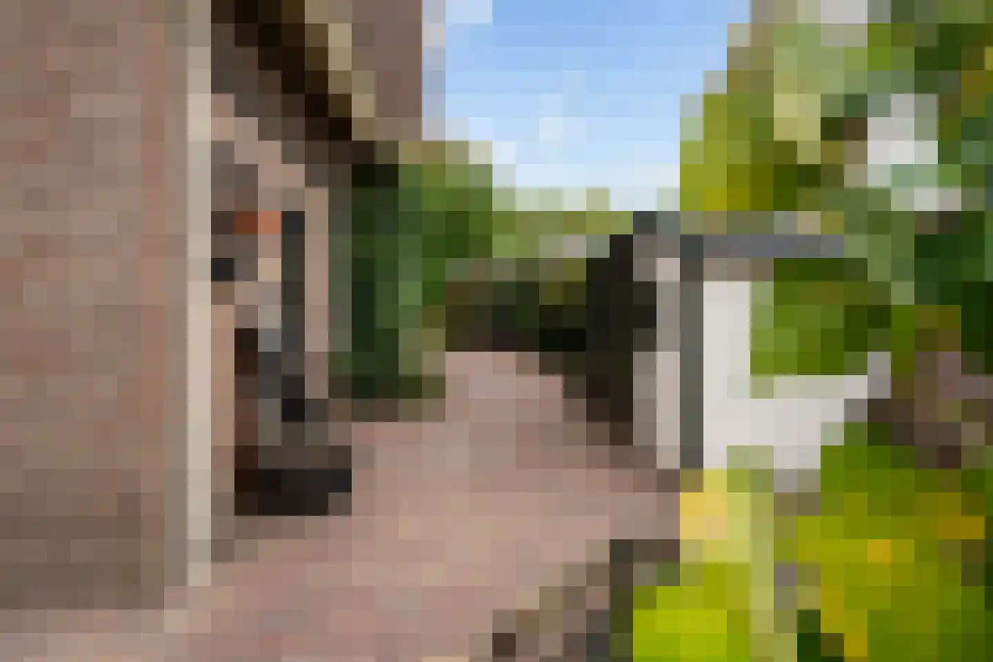 Huizekamplaan 28 a Beesd thumbnail 30