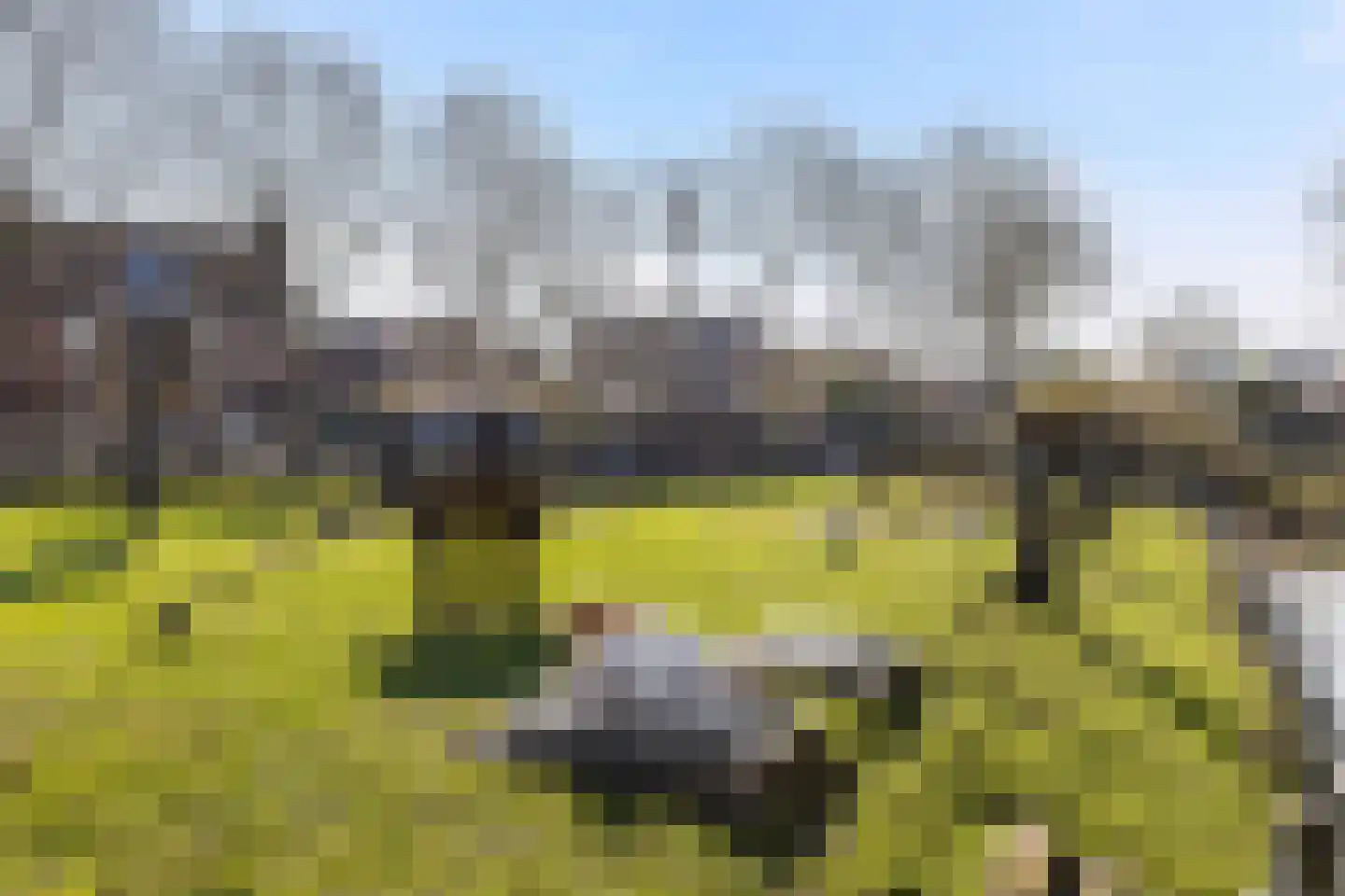 Huizekamplaan 28 a Beesd thumbnail 31