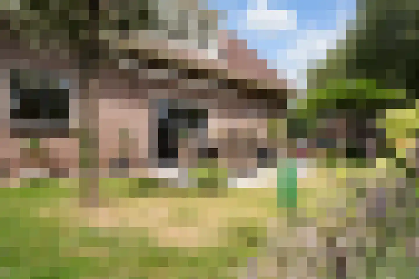 Huizekamplaan 28 a Beesd thumbnail 32