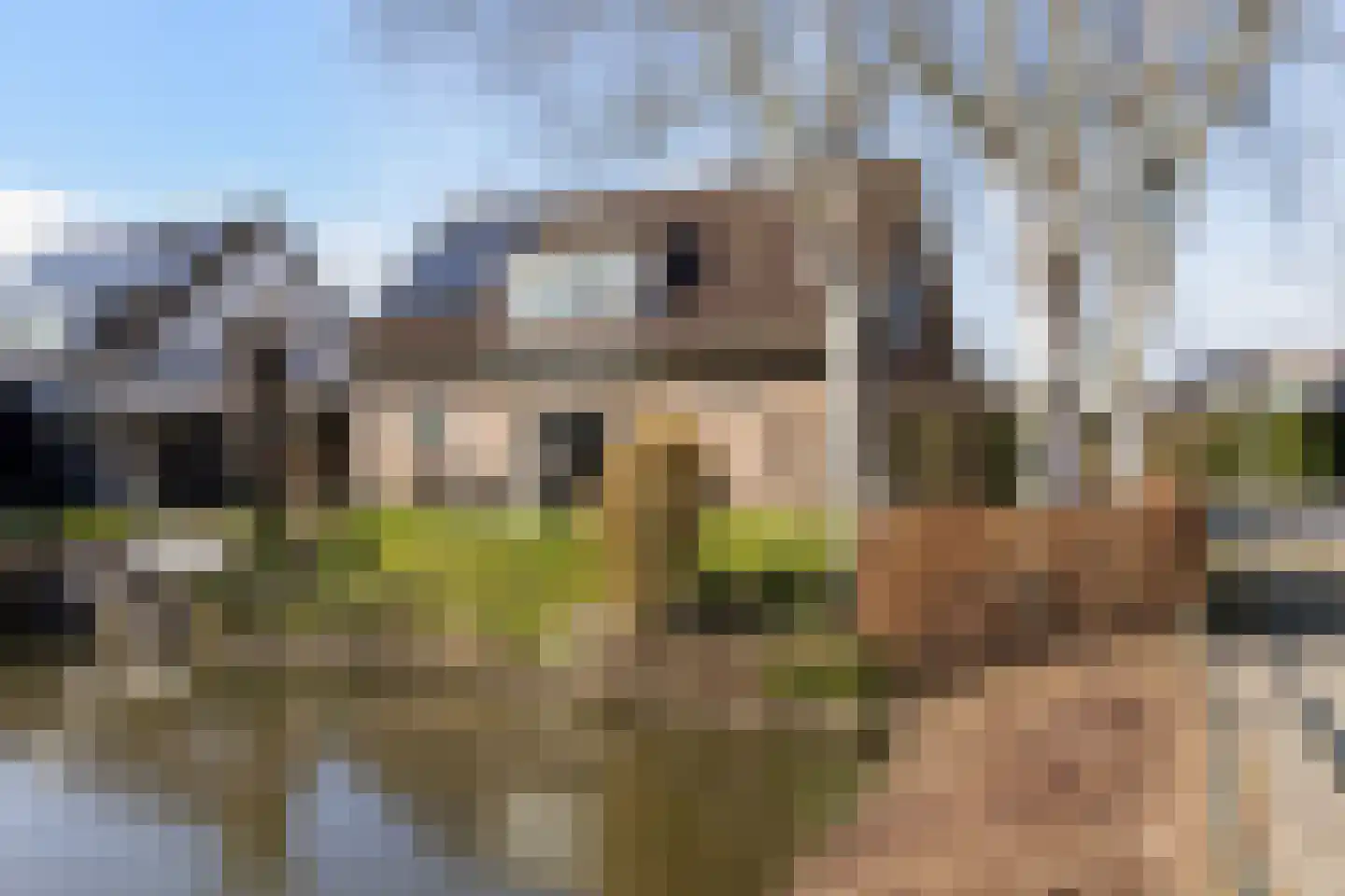 Huizekamplaan 28 a Beesd thumbnail 32