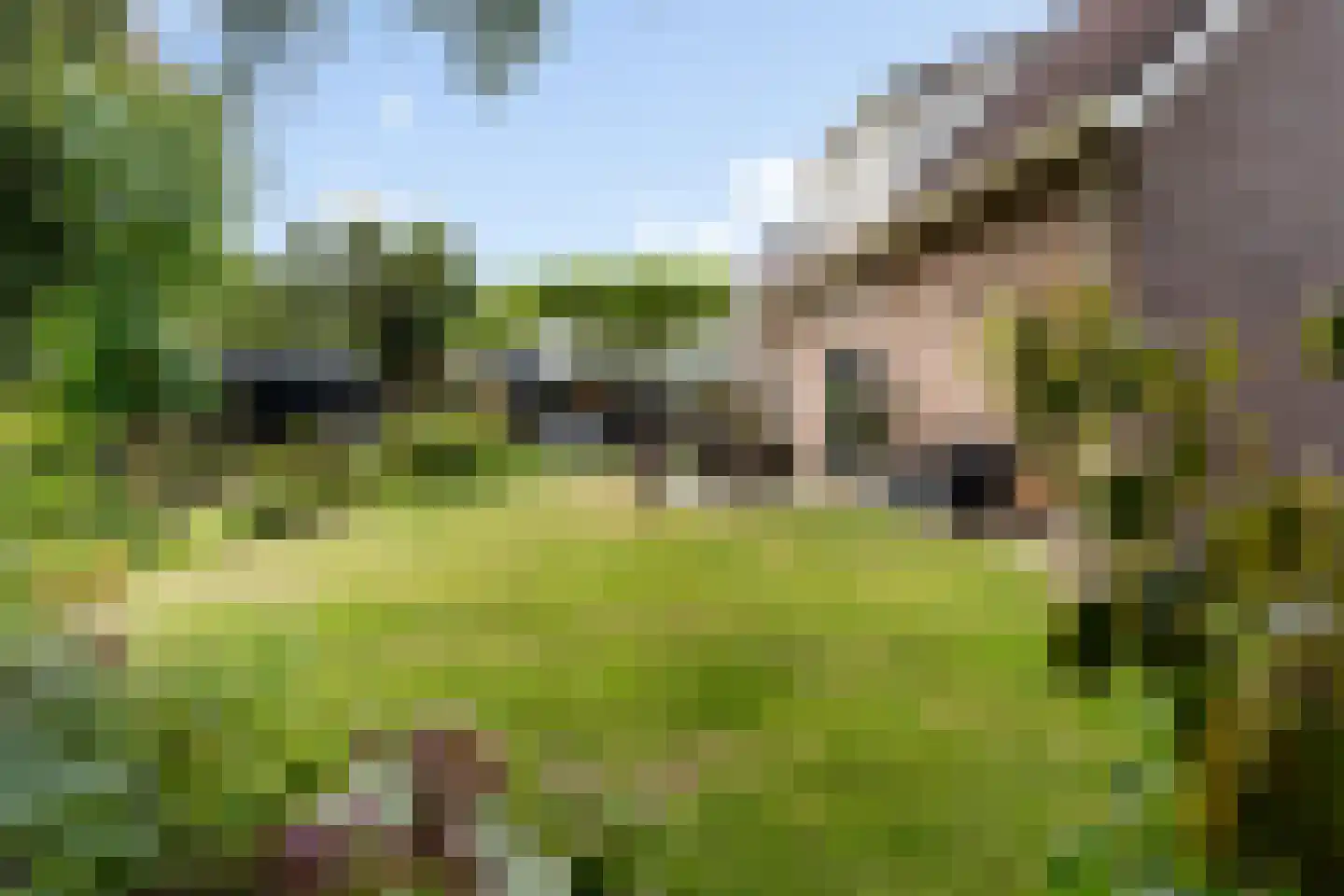 Huizekamplaan 28 a Beesd thumbnail 33