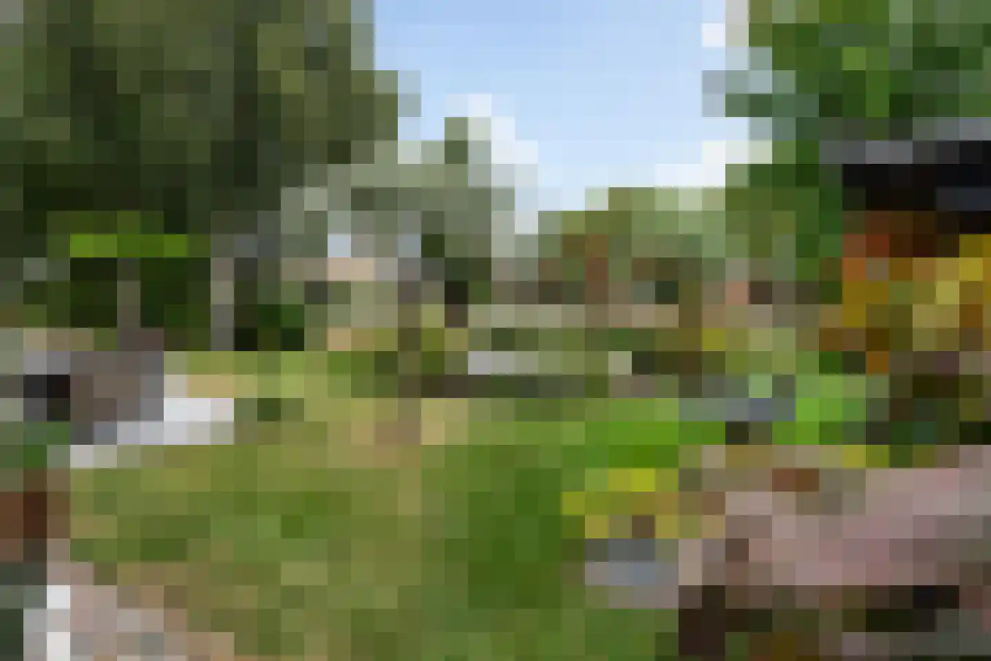 Huizekamplaan 28 a Beesd thumbnail 34