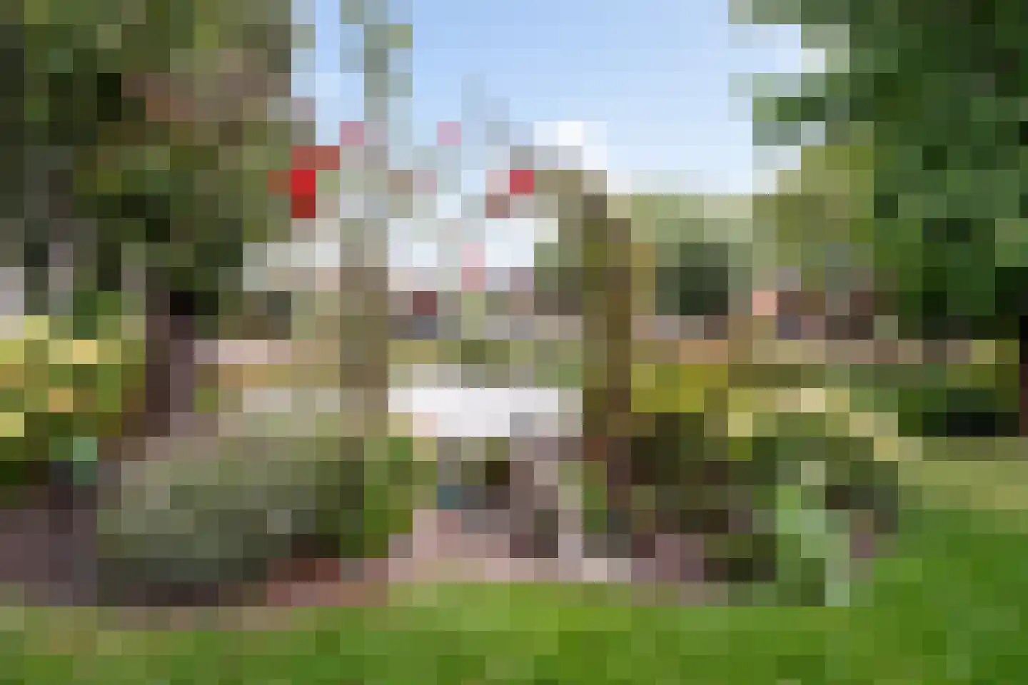 Huizekamplaan 28 a Beesd thumbnail 35
