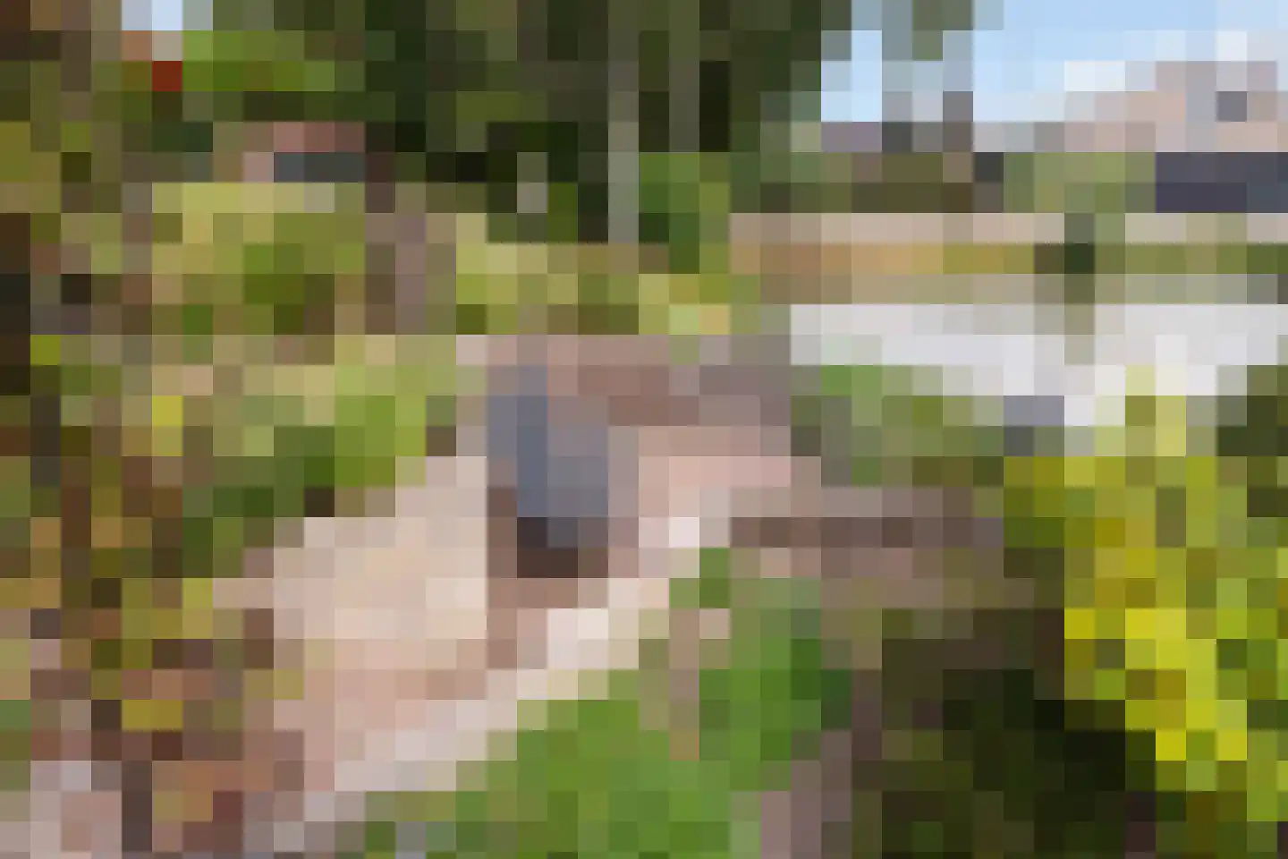 Huizekamplaan 28 a Beesd thumbnail 36