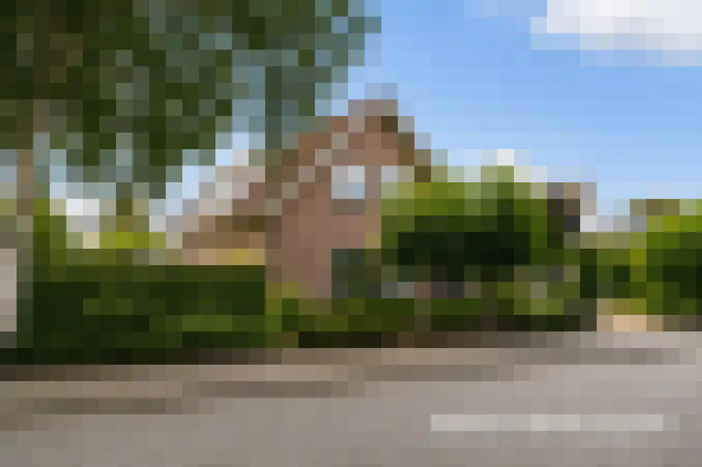 Huizekamplaan 28 a Beesd thumbnail 4