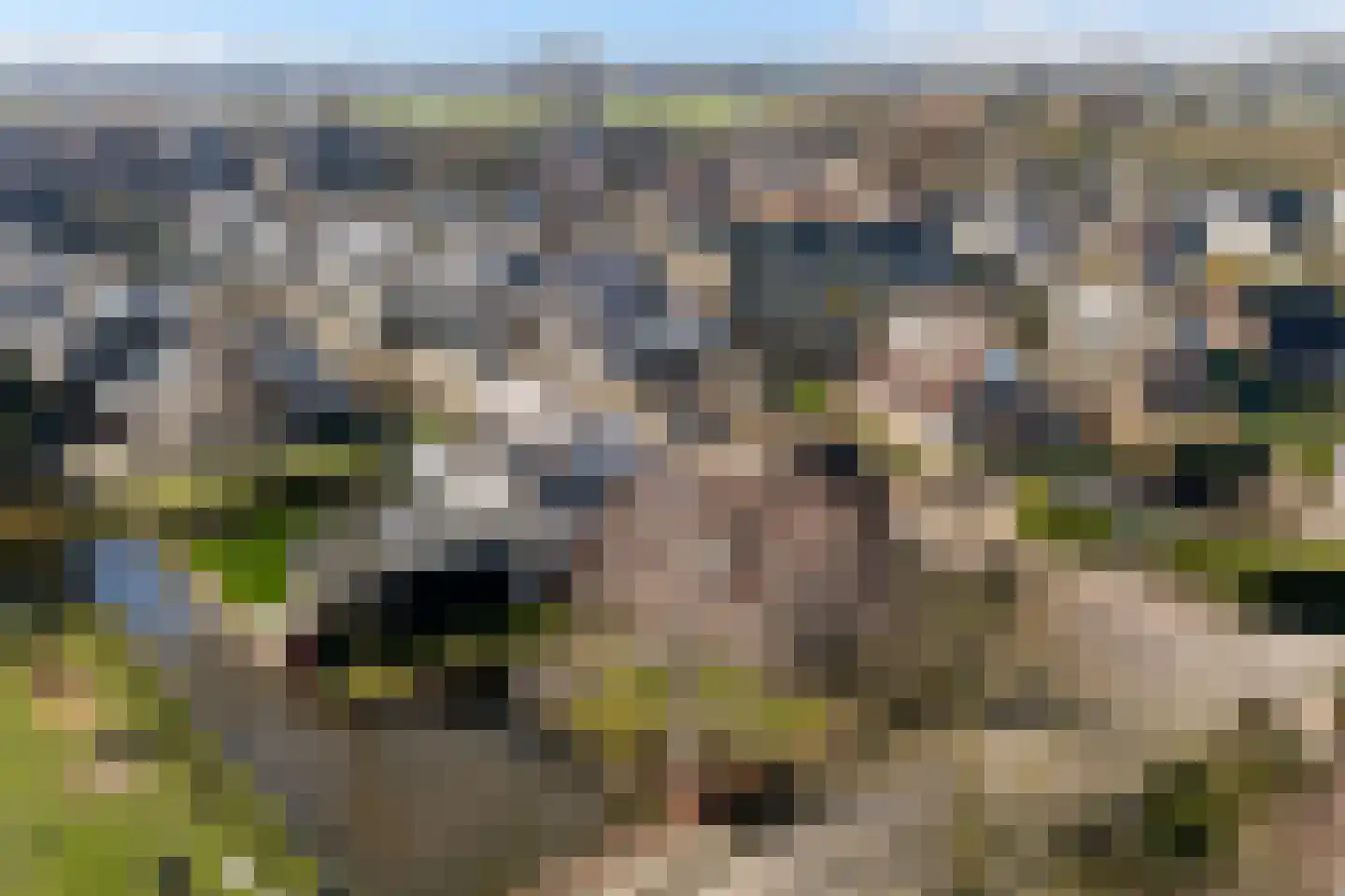 Huizekamplaan 28 a Beesd thumbnail 52