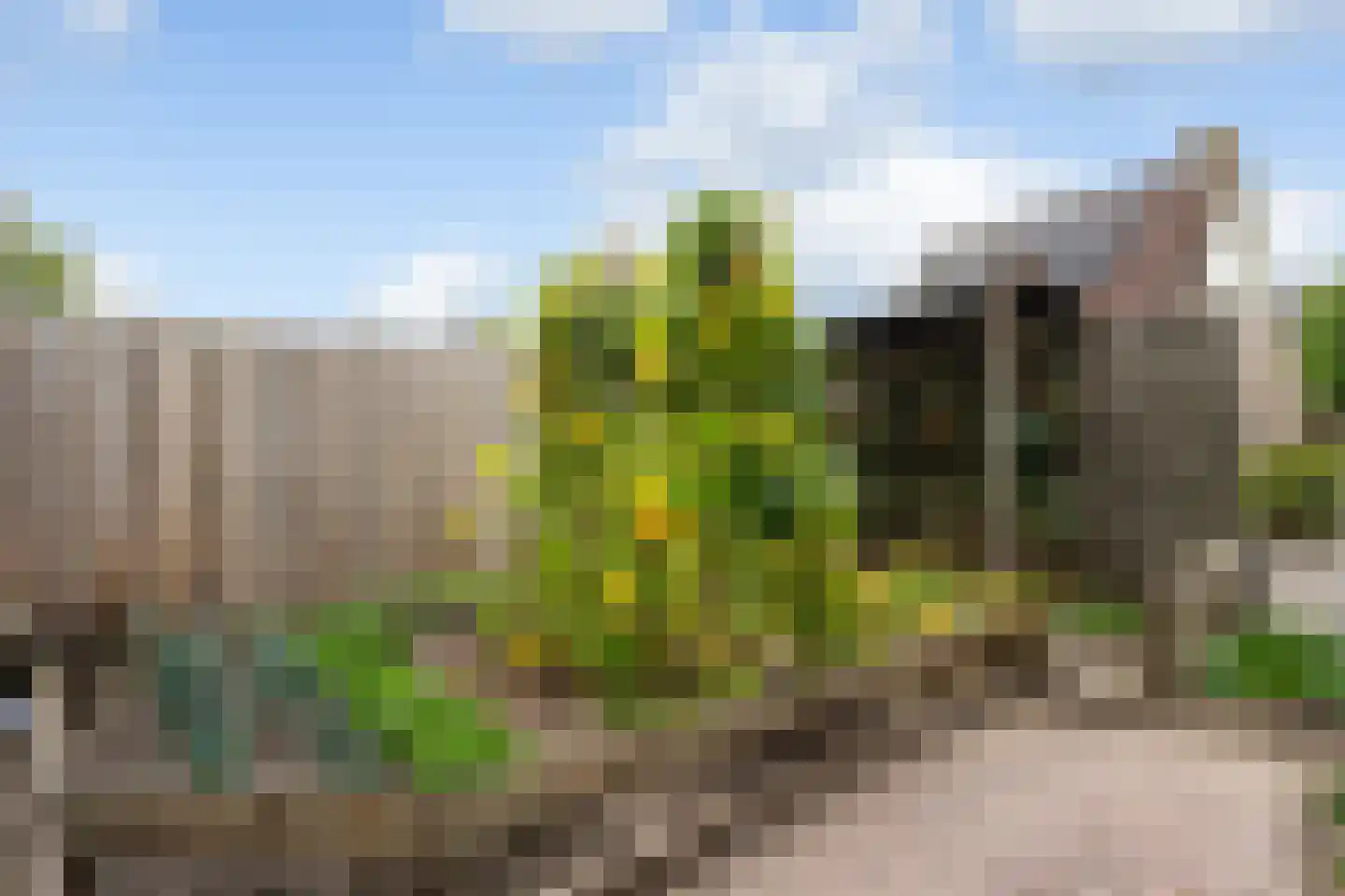 Huizekamplaan 28 a Beesd thumbnail 56
