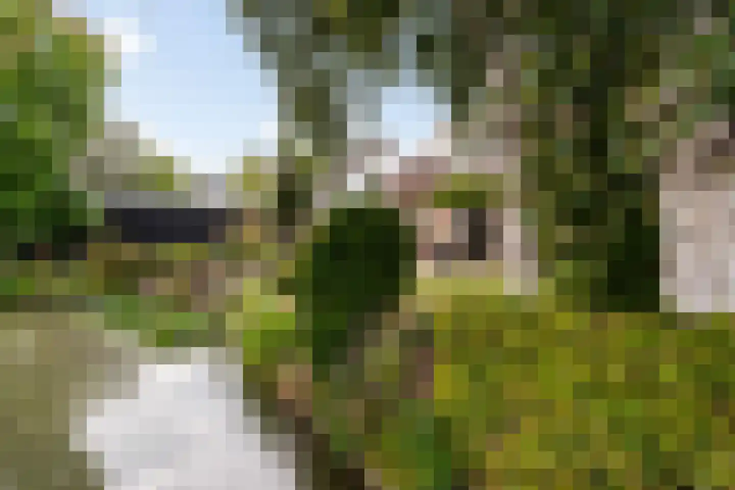 Huizekamplaan 28 a Beesd thumbnail 59