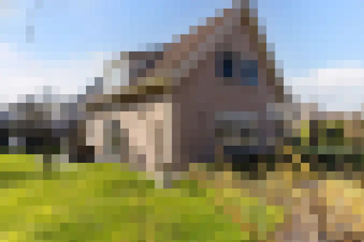 Huizekamplaan 28 a Beesd thumbnail 59