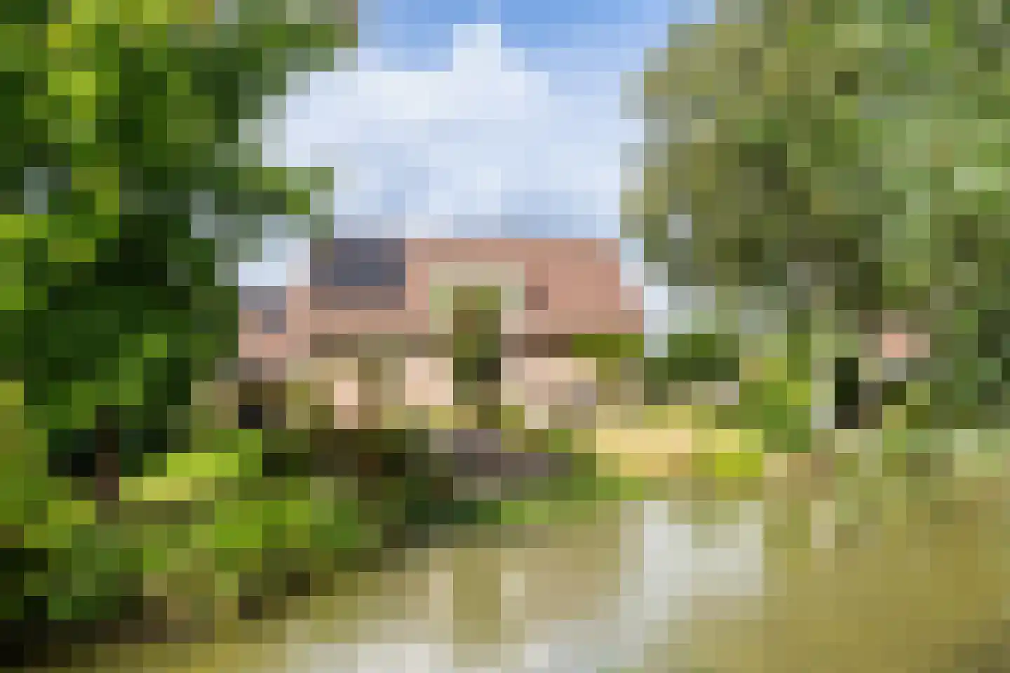 Huizekamplaan 28 a Beesd thumbnail 61