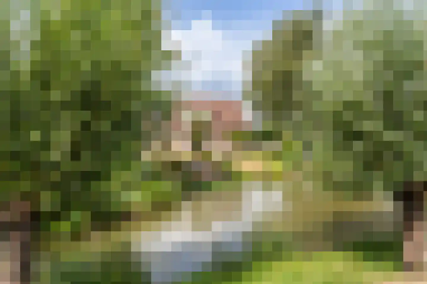 Huizekamplaan 28 a Beesd thumbnail 62