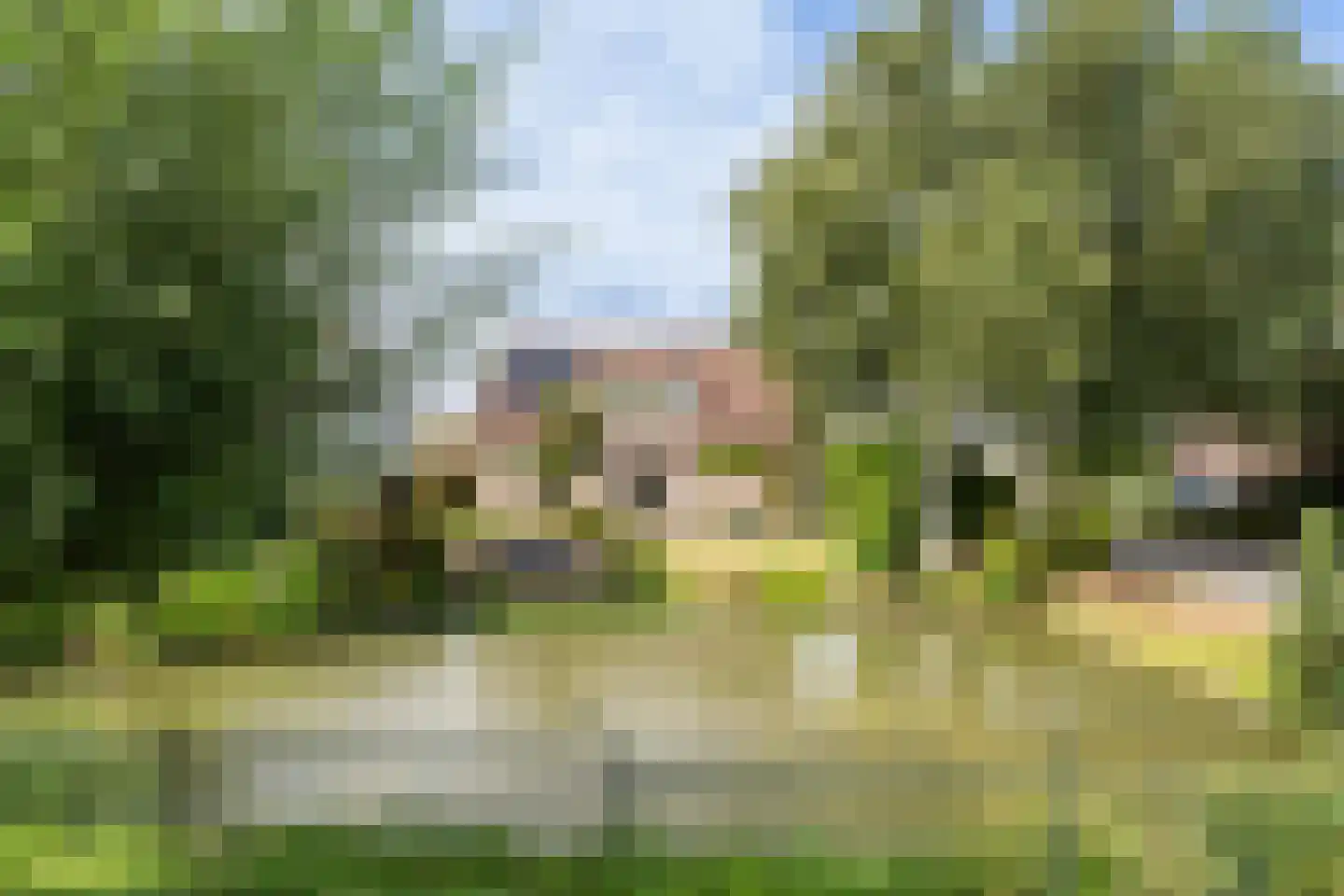 Huizekamplaan 28 a Beesd thumbnail 63