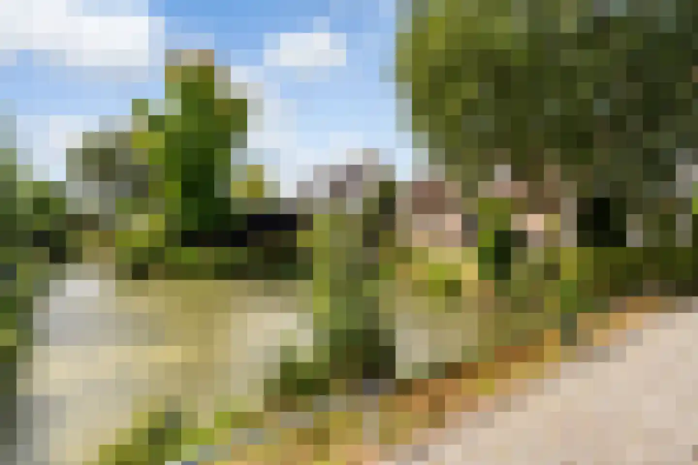 Huizekamplaan 28 a Beesd thumbnail 64