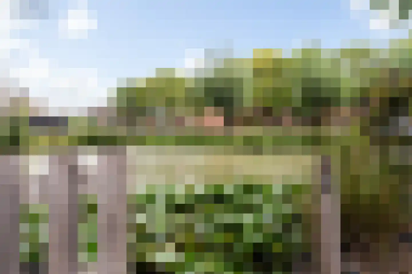 Huizekamplaan 28 a Beesd thumbnail 65