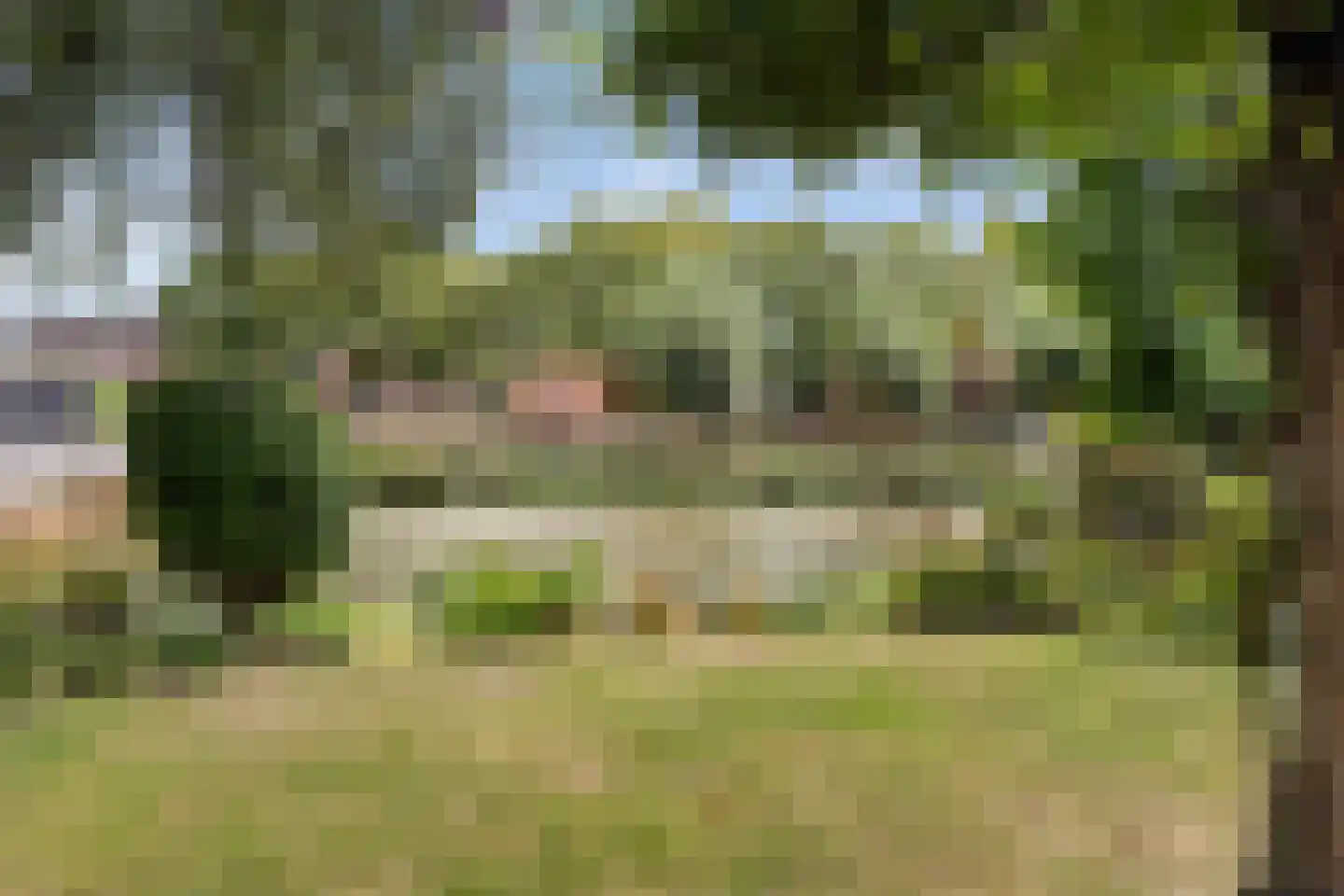 Huizekamplaan 28 a Beesd thumbnail 66