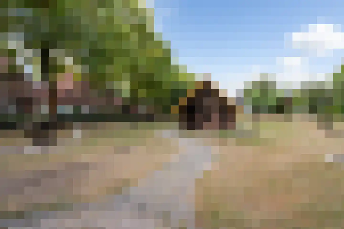 Huizekamplaan 28 a Beesd thumbnail 67