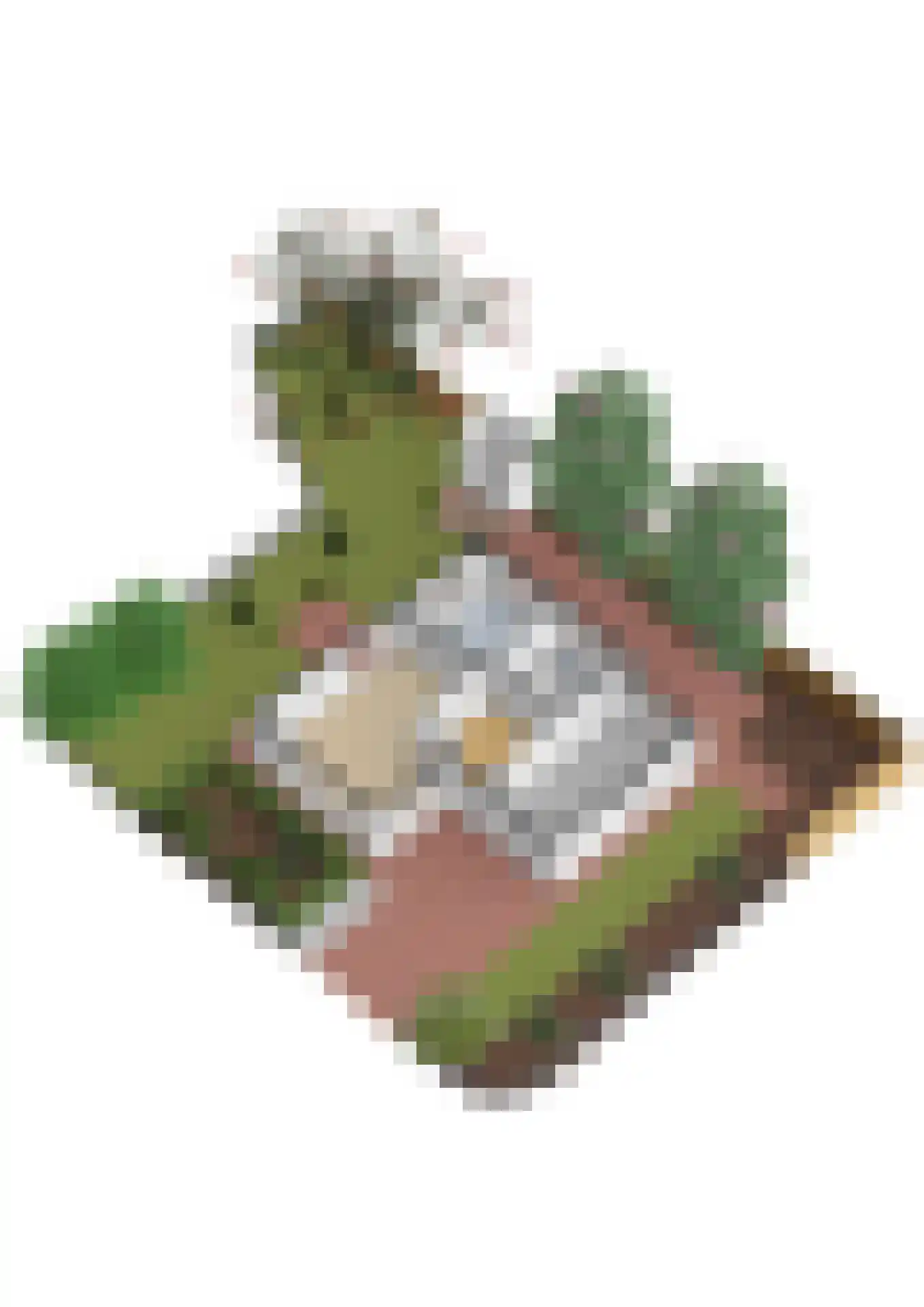 Huizekamplaan 28 a Beesd thumbnail 67