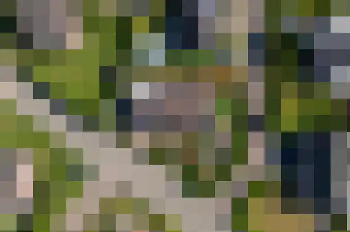 Huizekamplaan 41 Beesd thumbnail 39