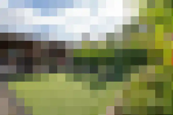 Huizekamplaan 41 Beesd thumbnail 4