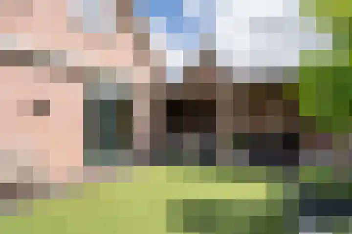 Huizekamplaan 41 Beesd thumbnail 40