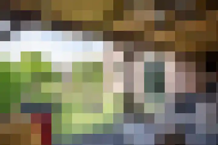 Huizekamplaan 41 Beesd thumbnail 42