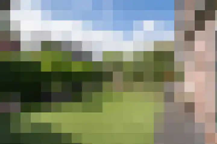 Huizekamplaan 41 Beesd thumbnail 44