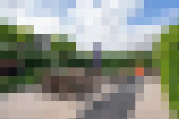 Huizekamplaan 41 Beesd thumbnail 46
