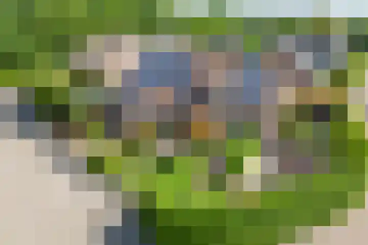 Huizekamplaan 41 Beesd thumbnail 5