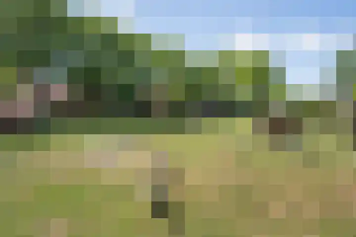 Huizekamplaan 41 Beesd thumbnail 54