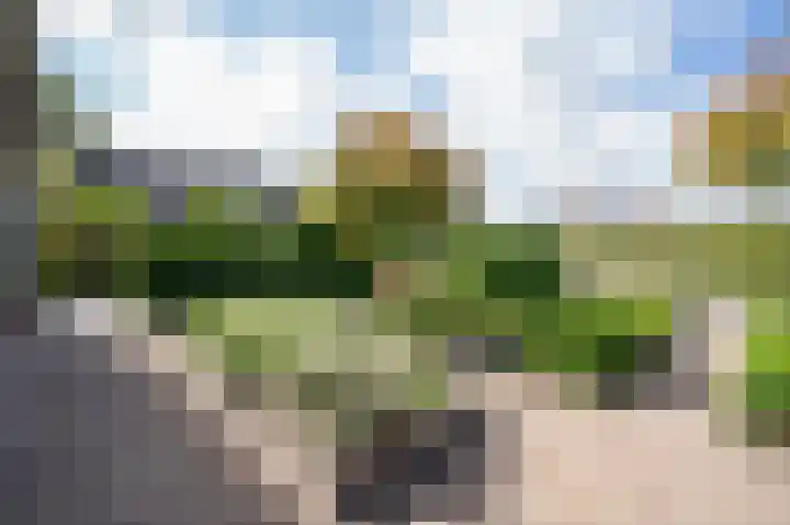 Huizekamplaan 41 Beesd thumbnail 7