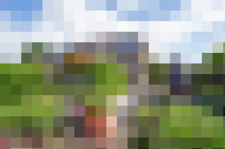 Huizekamplaan 41 Beesd thumbnail 8